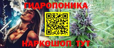 не бодяженный Сланцы