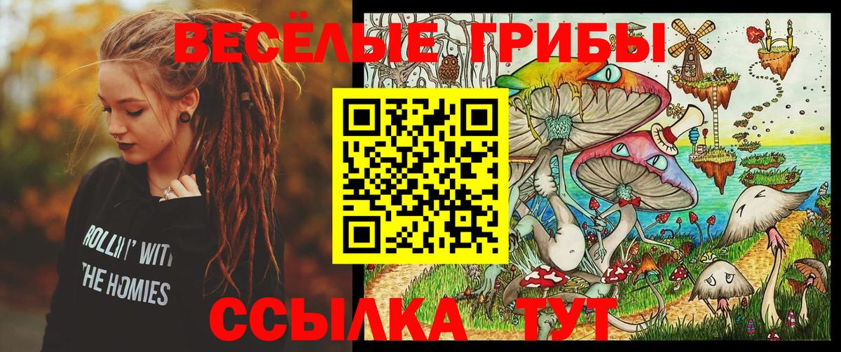 Реутов  Галлюциногенные грибы Psilocybine cubensis  купить закладку  Вход с VPN  Псилоцибиновые грибы MAGIC MUSHROOMS 